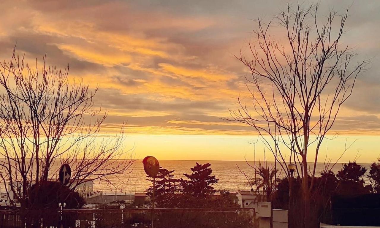 سكاليا A Due Passi Dal Mare B&B المظهر الخارجي الصورة